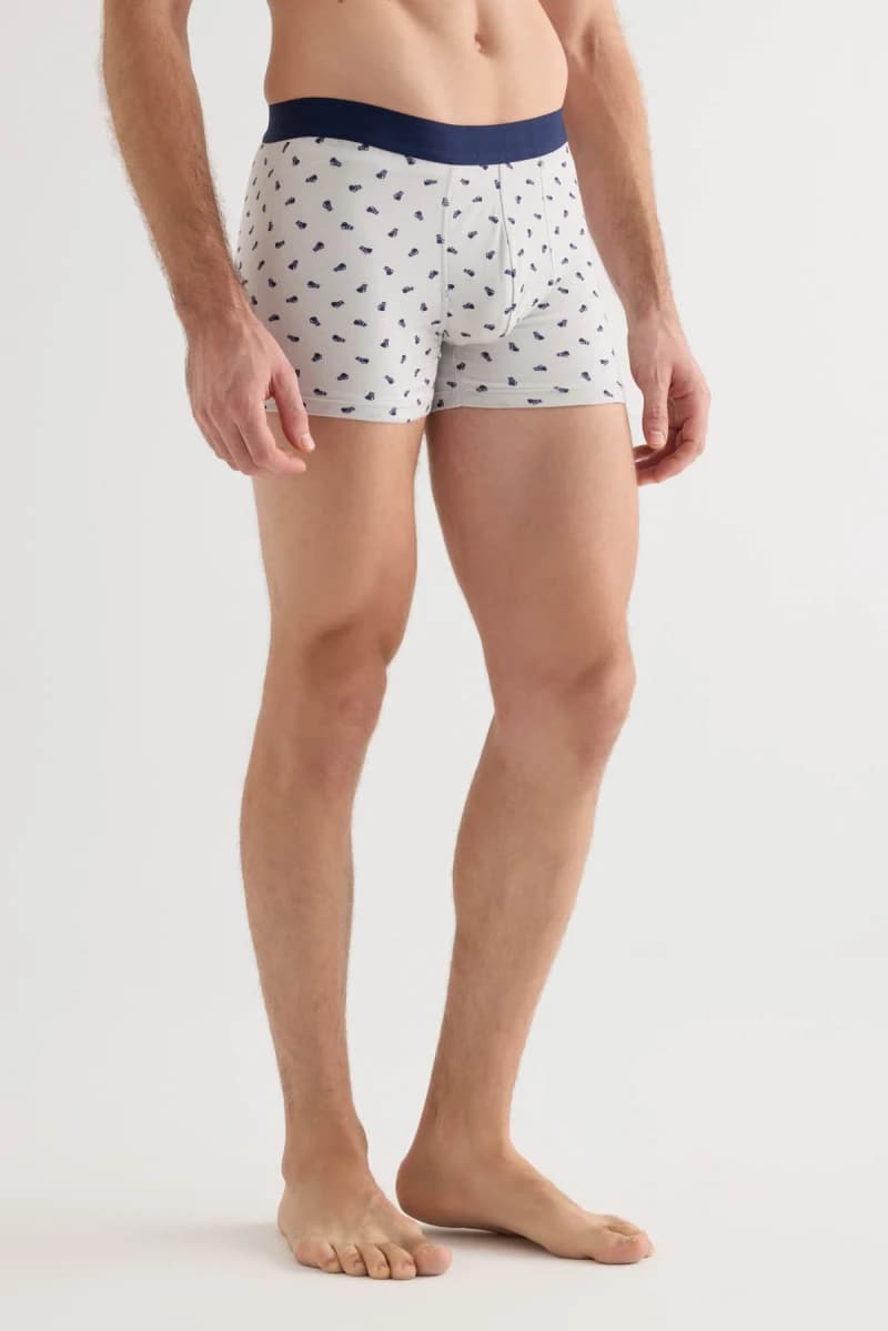Men's Neutral Printed Modal Boxer — view 2